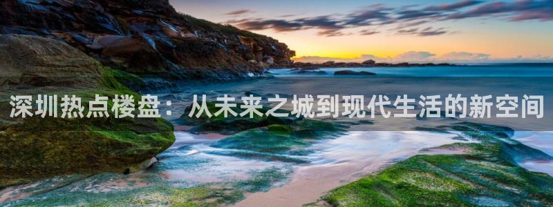 新宝5日740005蔻：深圳热点楼盘：从未来之城到现代生活的