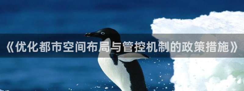 新宝5代理：《优化都市空间布局与管控机制的政策措施》
