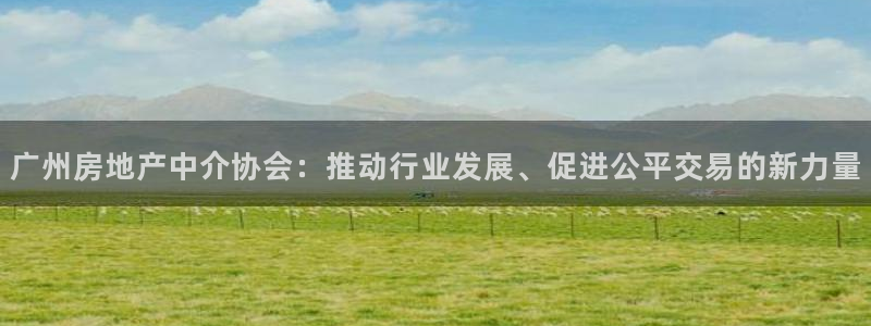 新宝5登录界面：广州房地产中介协会：推动行业发展、促进公平交