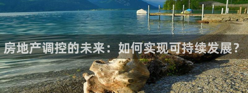 新宝5测试：房地产调控的未来：如何实现可持续发展？