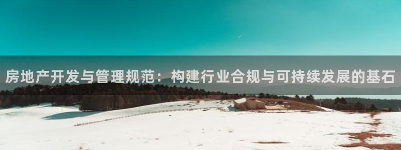 新宝速5：房地产开发与管理规范：构建行业合规与可持续发展的基