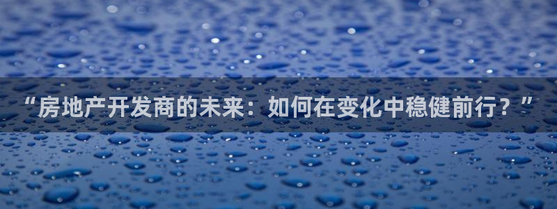 新宝5下载测试：“房地产开发商的未来：如何在变化中稳健前行？