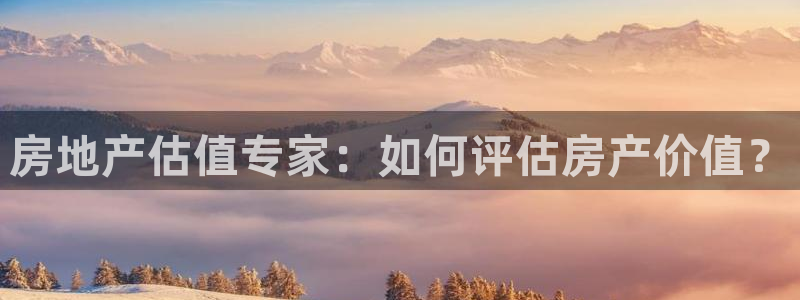 新宝5平台：房地产估值专家：如何评估房产价值？