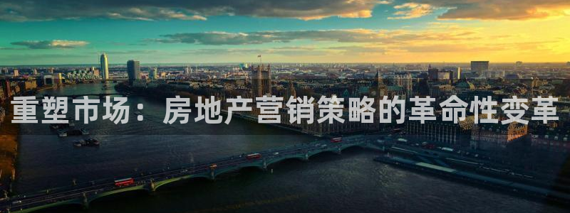 新宝5吴74OOO5：重塑市场：房地产营销策略的革命性变革