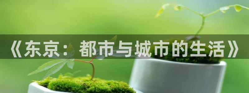 新宝5招商222111：《东京：都市与城市的生活》
