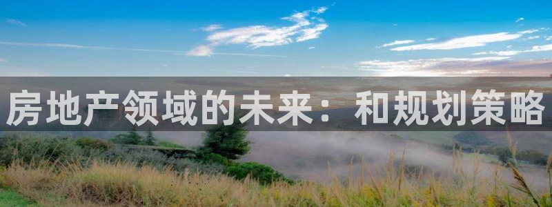新宝5登陆地址：房地产领域的未来：和规划策略