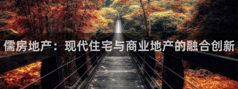 新宝5在哪里：儒房地产：现代住宅与商业地产的融合创新