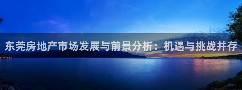新宝5在哪里：东莞房地产市场发展与前景分析：机遇与挑战并存
