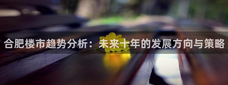 新宝5总代：合肥楼市趋势分析：未来十年的发展方向与策略