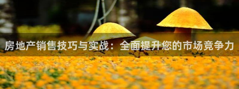 新宝5挂机：房地产销售技巧与实战：全面提升您的市场竞争力