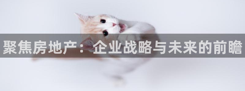 新宝5登录网址：聚焦房地产：企业战略与未来的前瞻