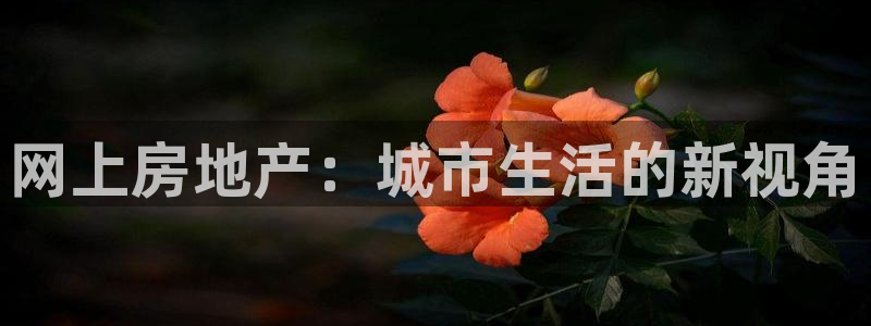 新宝5app手机下载：网上房地产：城市生活的新视角