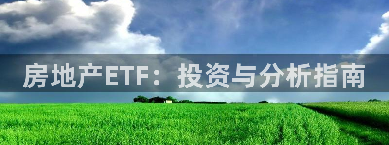 新宝5玩法：房地产ETF：投资与分析指南