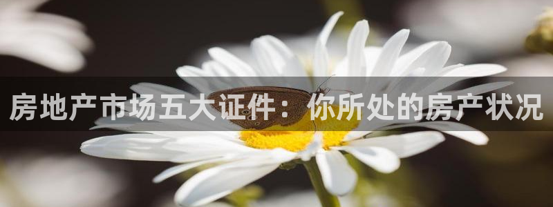 新宝5登录界面：房地产市场五大证件：你所处的房产状况
