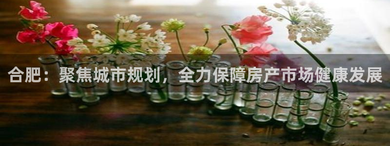 新宝5可靠吗：合肥：聚焦城市规划，全力保障房产市场健康发展
