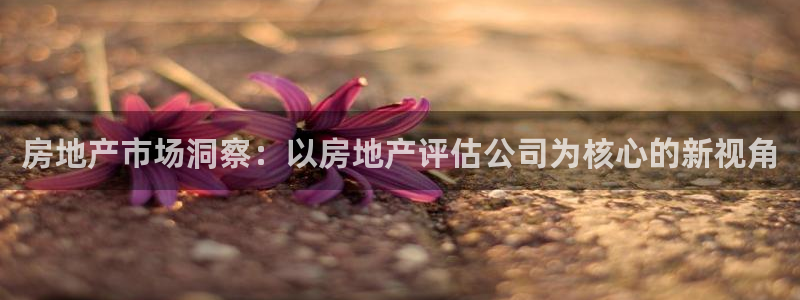 新宝5为啥开：房地产市场洞察：以房地产评估公司为核心的新视角