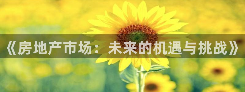 新宝5官网平台：《房地产市场：未来的机遇与挑战》