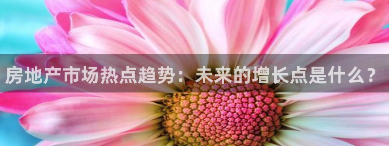 新宝5是什么样子的：房地产市场热点趋势：未来的增长点是什么？