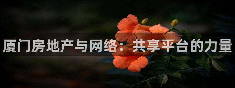 新宝5平台注册资金：厦门房地产与网络：共享平台的力量