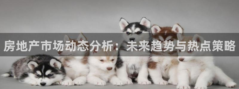 新宝5平台登陆：房地产市场动态分析：未来趋势与热点策略