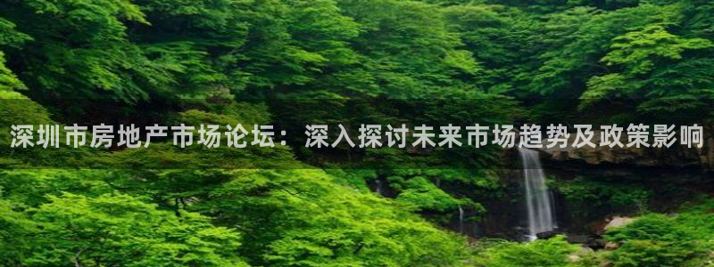 新宝gg5：深圳市房地产市场论坛：深入探讨未来市场趋势及政策