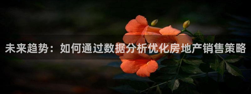 新宝5找找74OOO5：未来趋势：如何通过数据分析优化房地产