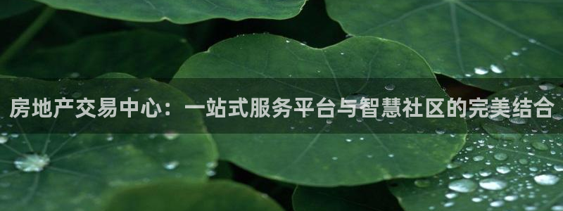 新宝gg5：房地产交易中心：一站式服务平台与智慧社区的完美结