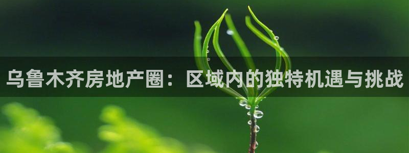 新宝5平台登录：乌鲁木齐房地产圈：区域内的独特机遇与挑战