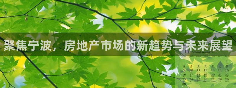 新宝5台卡：聚焦宁波，房地产市场的新趋势与未来展望