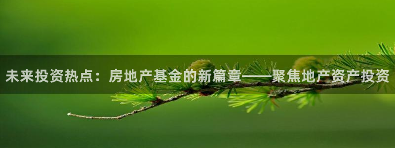 新宝5官方：未来投资热点：房地产基金的新篇章——聚焦地产资产