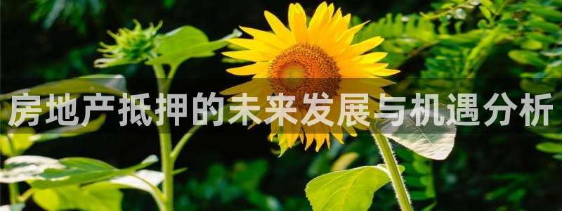 新宝5登录测速中心：房地产抵押的未来发展与机遇分析