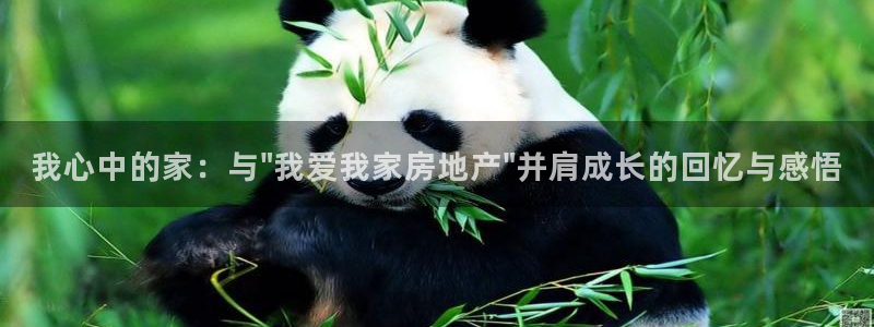 新宝5官方登录入口：我心中的家：与\