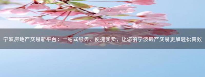 新宝5挂机：宁波房地产交易新平台：一站式服务、便捷买卖，让您