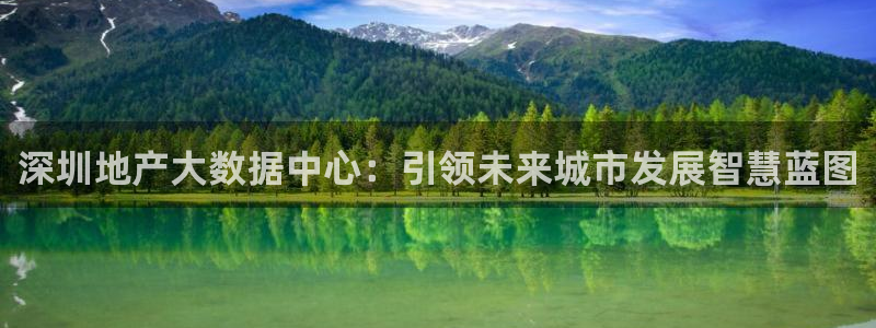2022新宝骏rs 5：深圳地产大数据中心：引领未来城市发展
