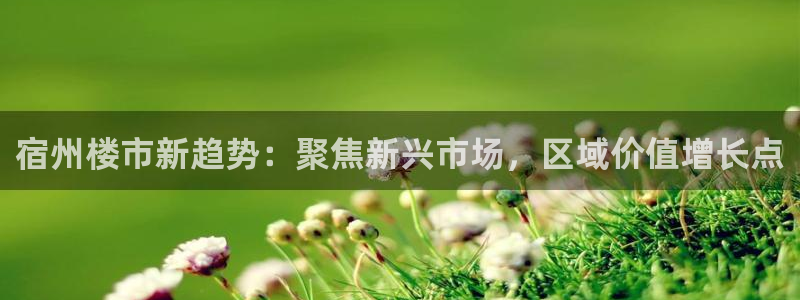 新宝5平台霸：宿州楼市新趋势：聚焦新兴市场，区域价值增长点