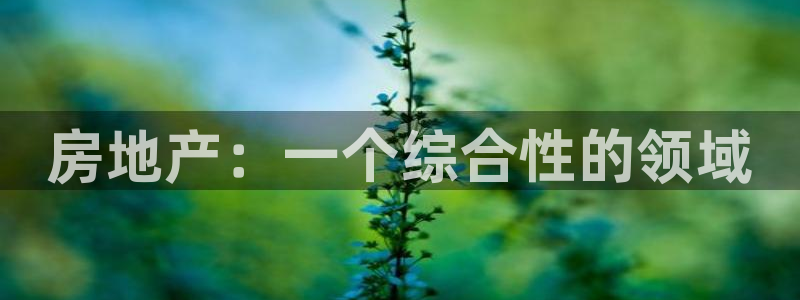 新宝5巅峰：房地产：一个综合性的领域