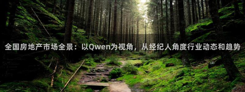 新宝5电脑：全国房地产市场全景：以Qwen为视角，从经纪人角