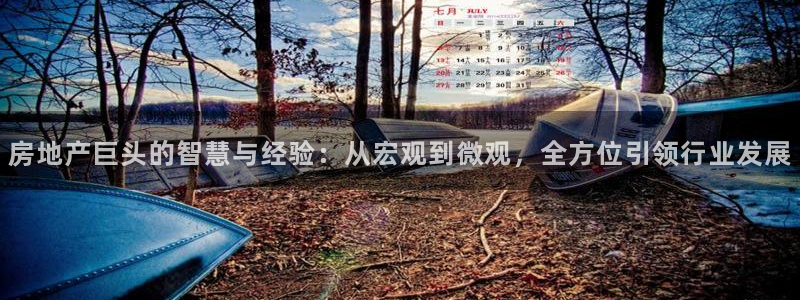 新宝5唯一：房地产巨头的智慧与经验：从宏观到微观，全方位引领