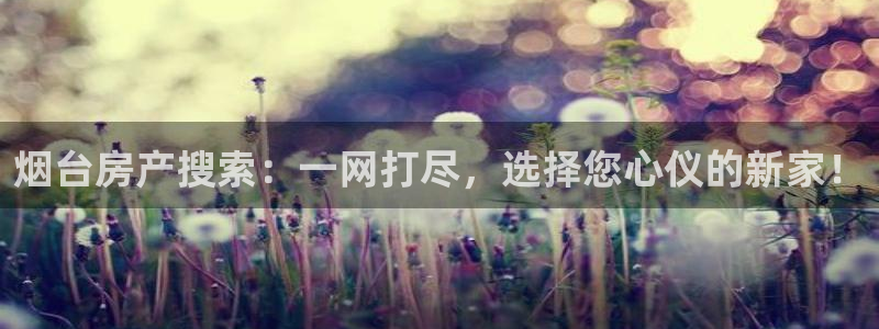 新宝5平台注册：烟台房产搜索：一网打尽，选择您心仪的新家！