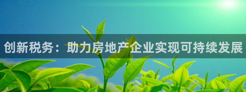 新宝5户端：创新税务：助力房地产企业实现可持续发展