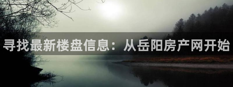 新宝5招商222111：寻找最新楼盘信息：从岳阳房产网开始