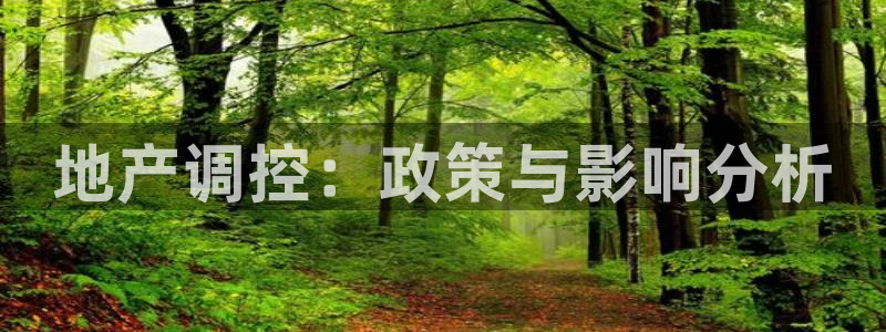 新宝5为啥开：地产调控：政策与影响分析