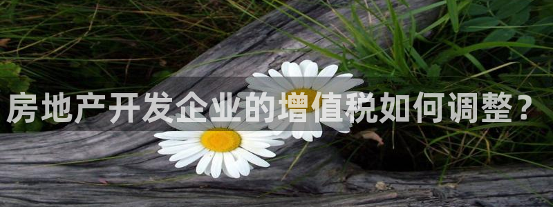 新宝5注册链接：房地产开发企业的增值税如何调整？