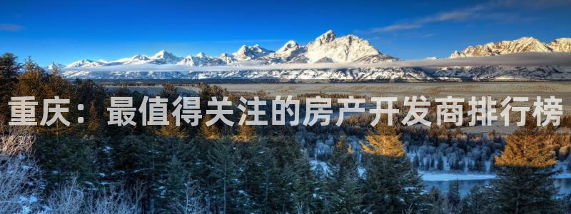 新宝5手机测速：重庆：最值得关注的房产开发商排行榜
