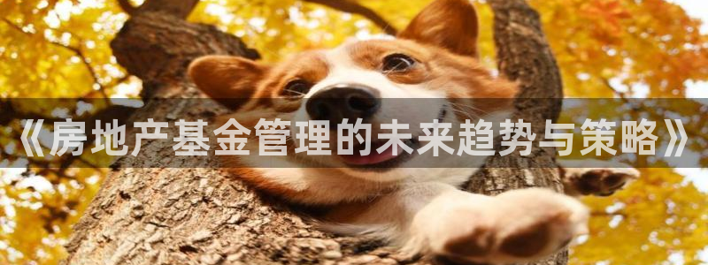 新宝5褚74OOO5：《房地产基金管理的未来趋势与策略》