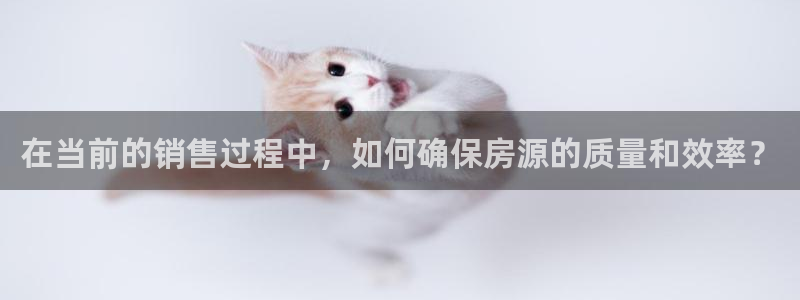 新宝5-：在当前的销售过程中，如何确保房源的质量和效率？