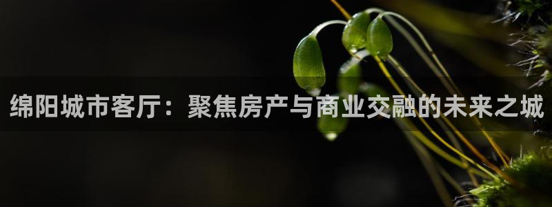 新宝5娱乐招商：绵阳城市客厅：聚焦房产与商业交融的未来之城