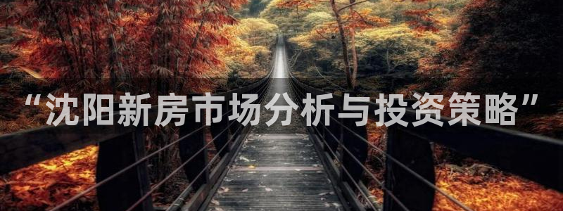 新宝5导师