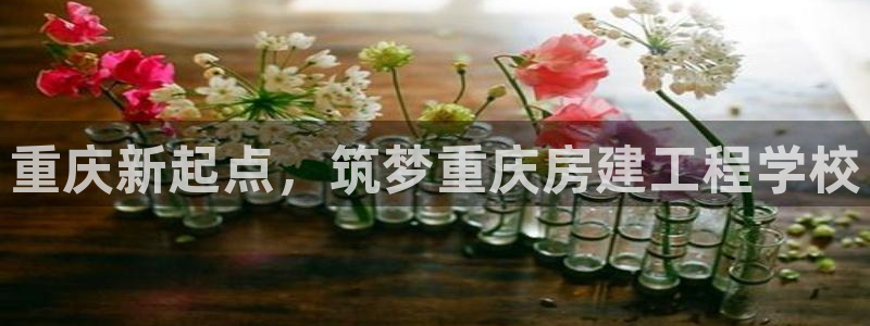 新宝5娱乐然：重庆新起点，筑梦重庆房建工程学校