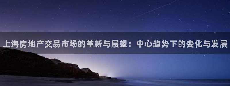 新宝5什么时候上市：上海房地产交易市场的革新与展望：中心趋势
